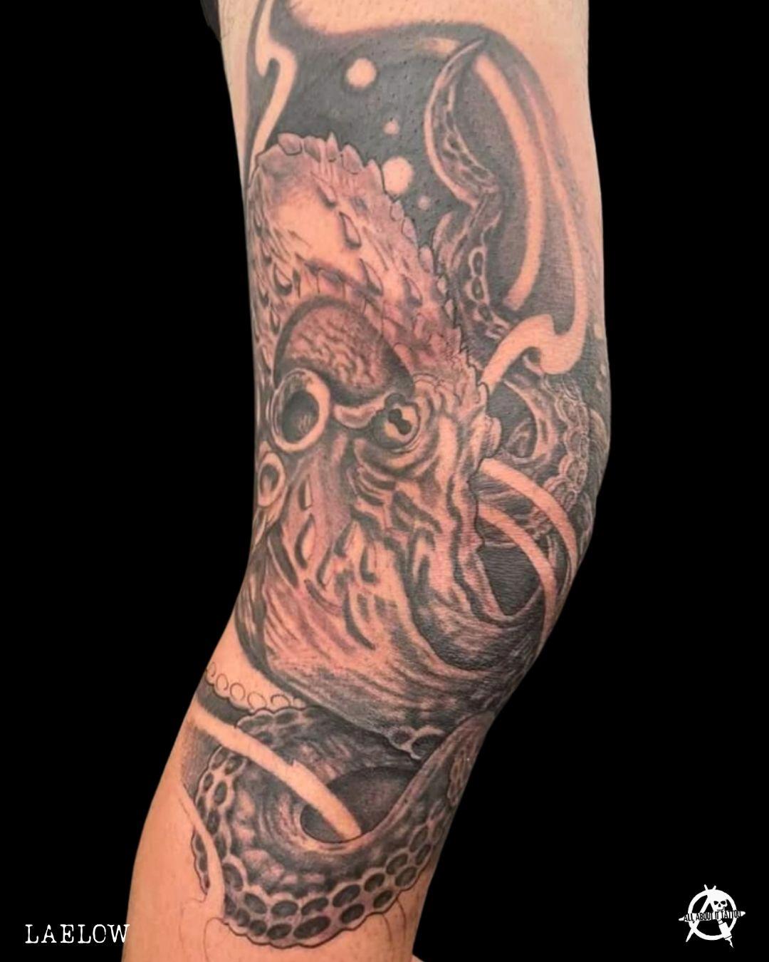 unnamed image