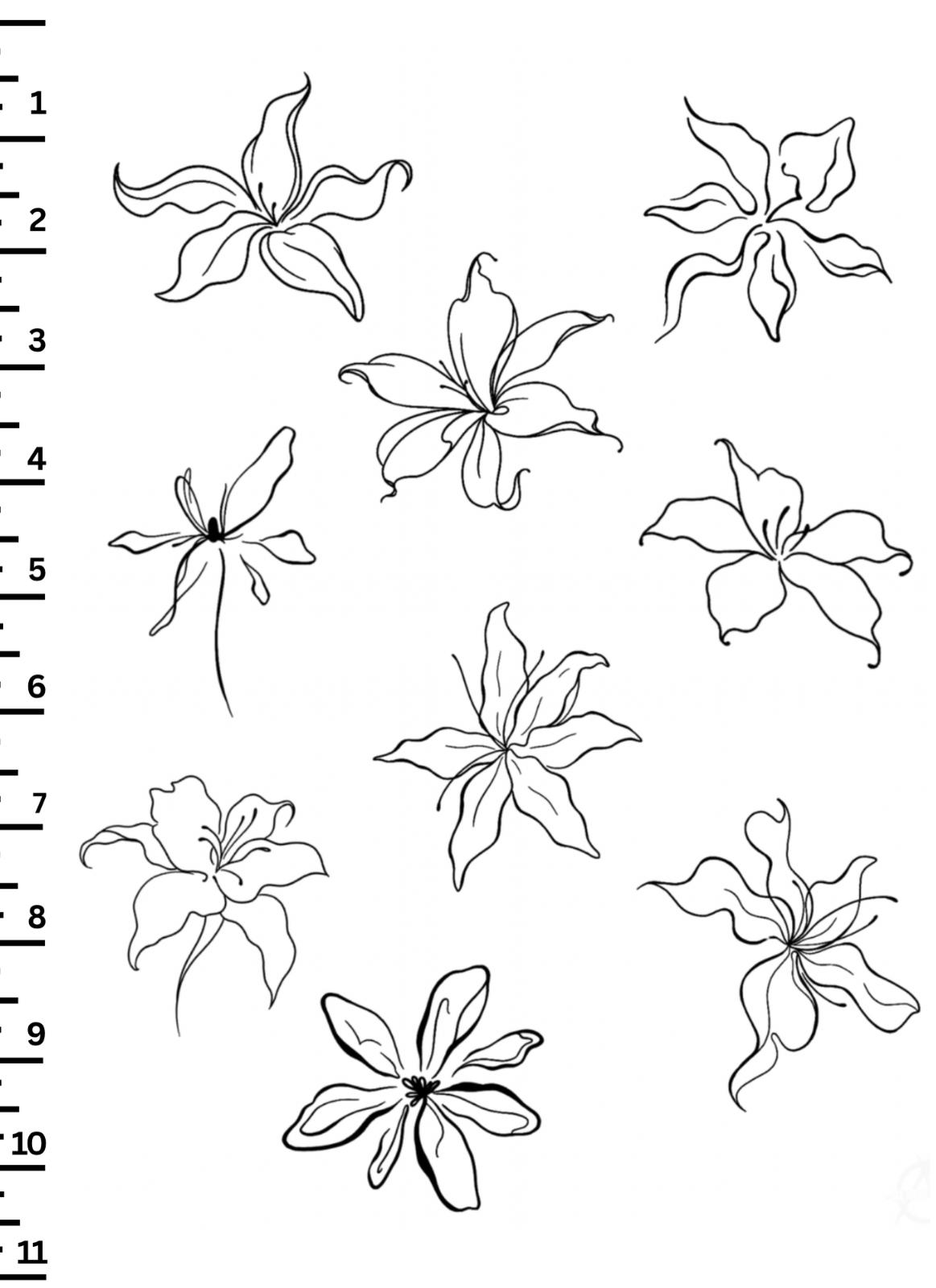 unnamed image