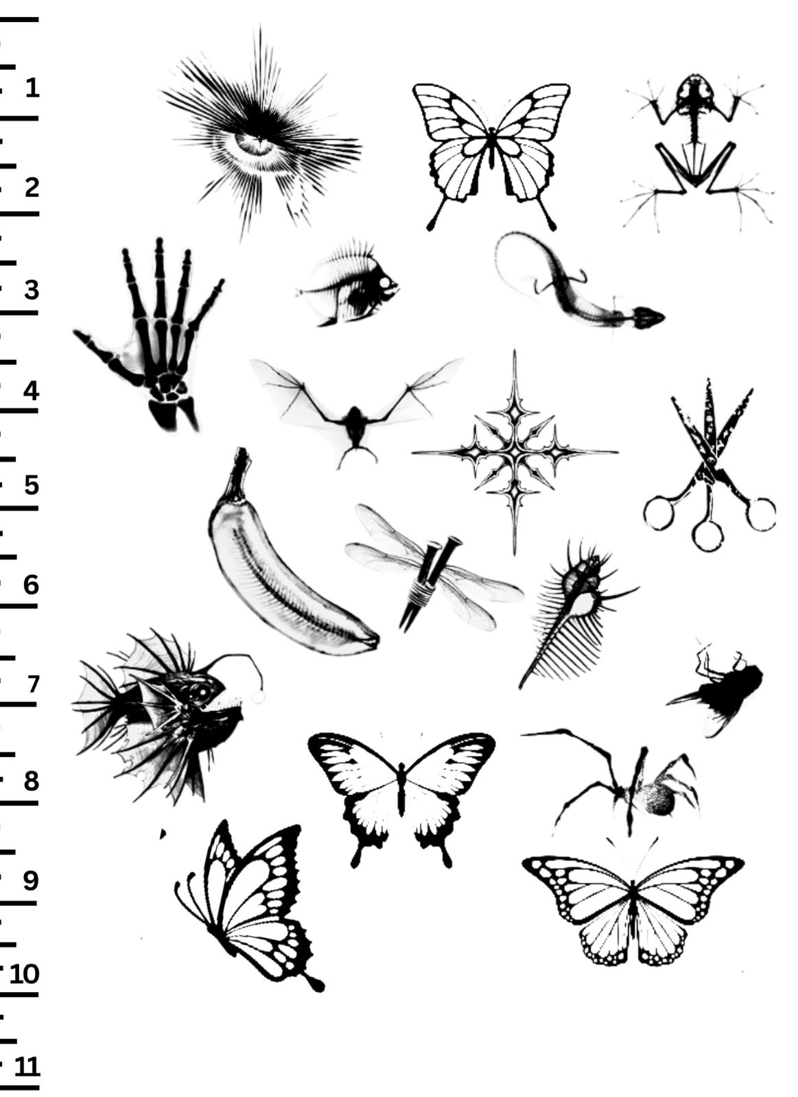 unnamed image