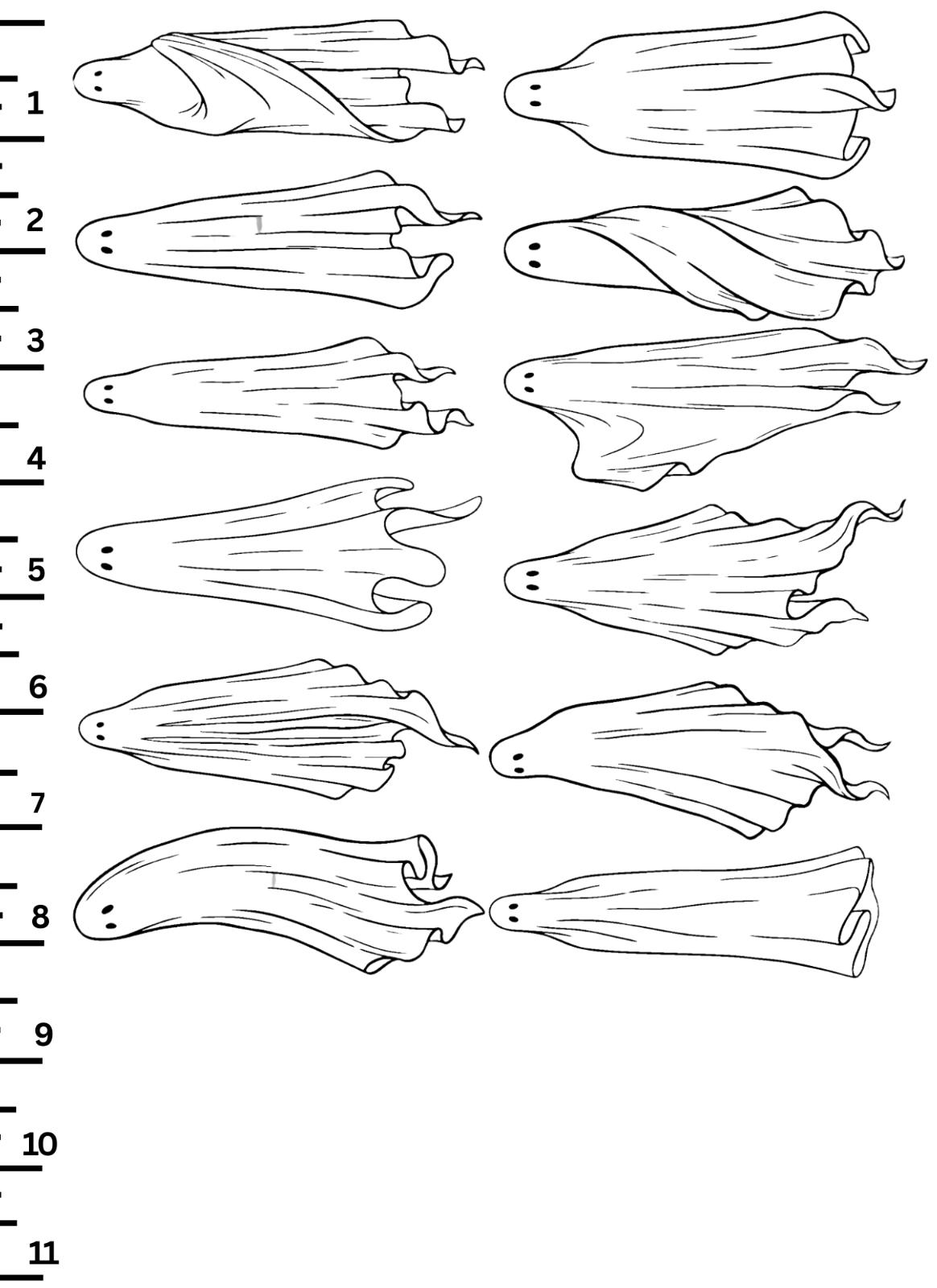 unnamed image