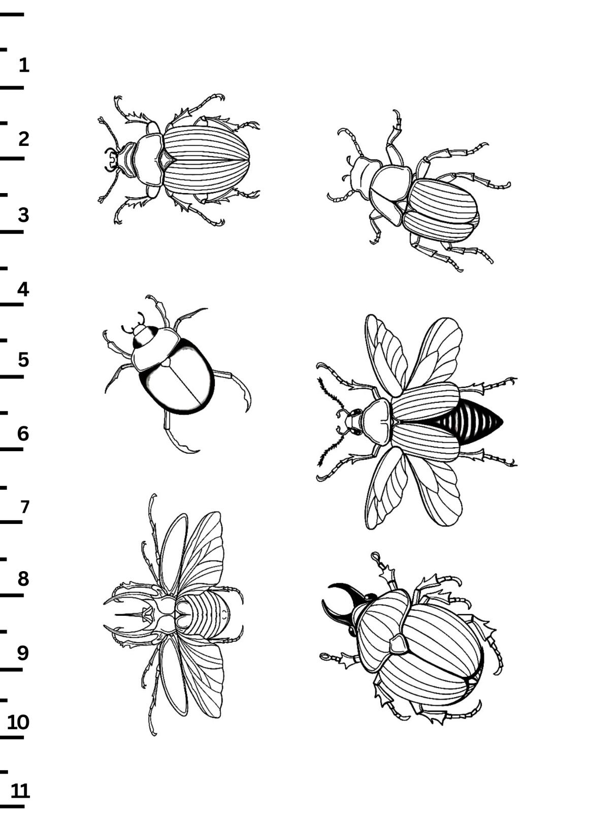 unnamed image