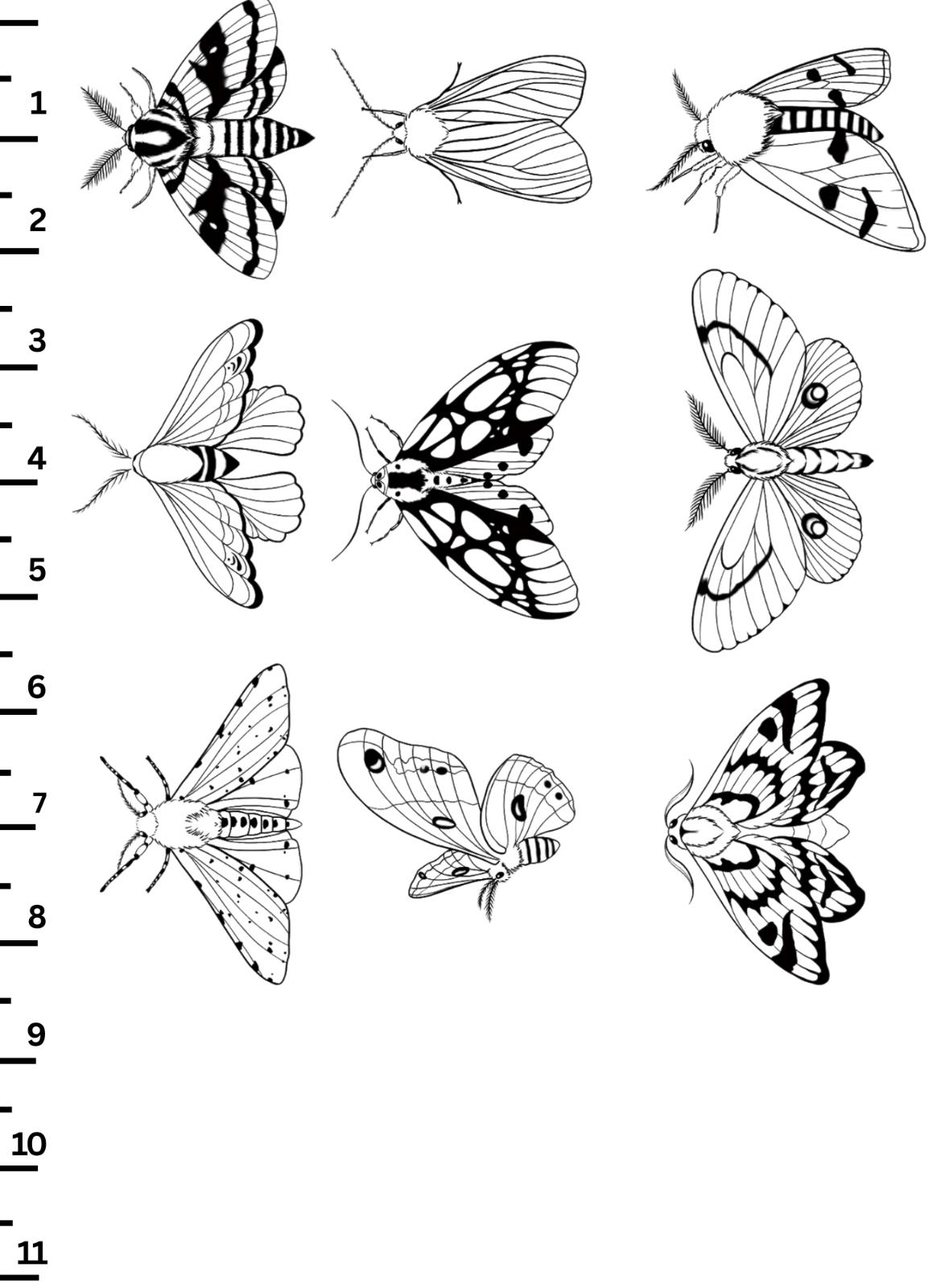 unnamed image