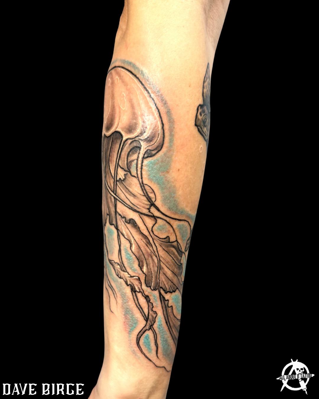 unnamed image
